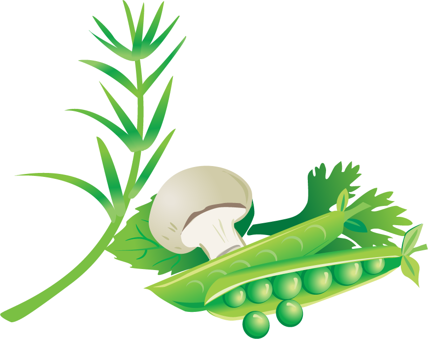 Drawing Common Bean Plant - Grass (869x688)