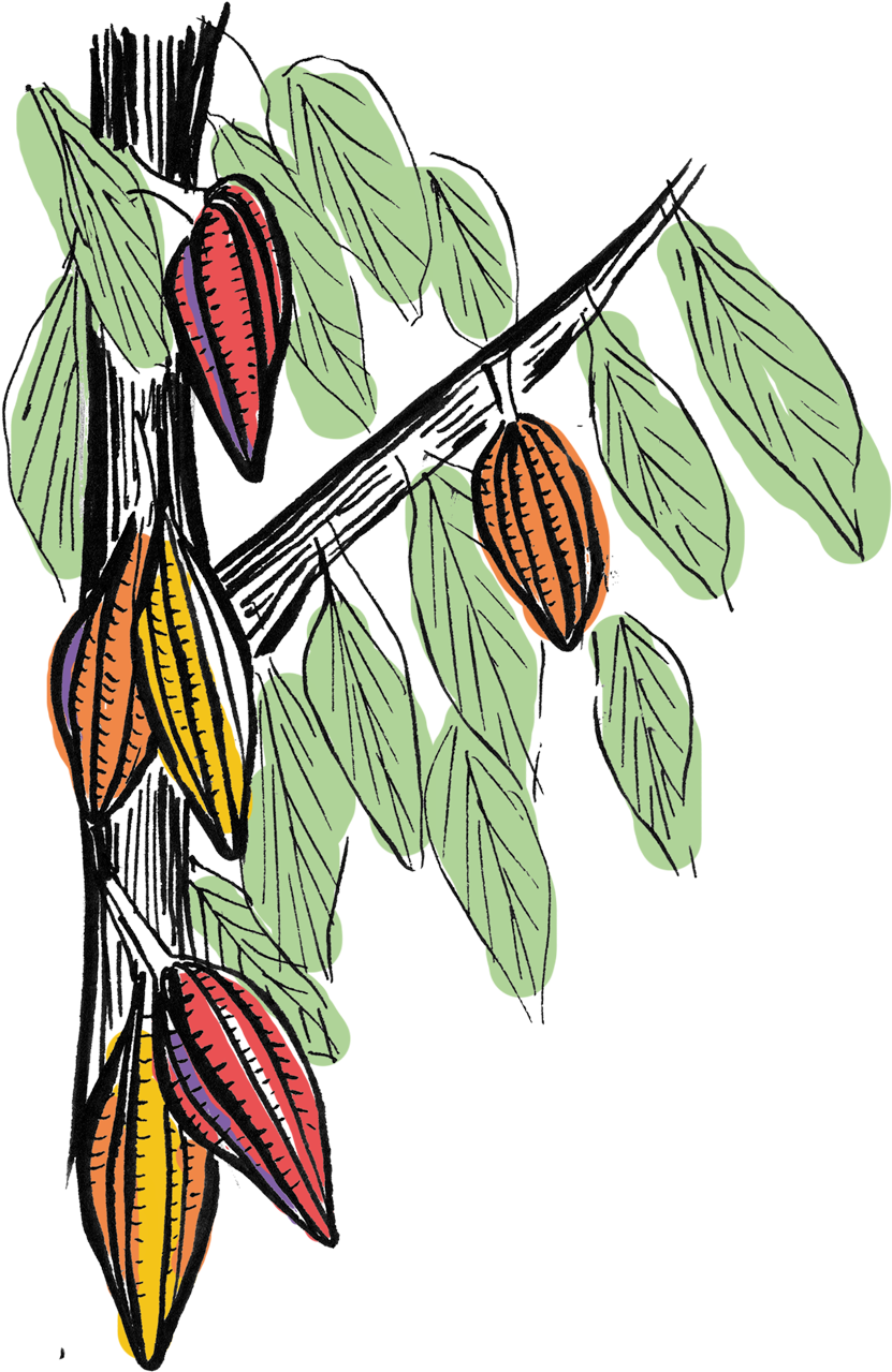 Illustration (1000x1387)