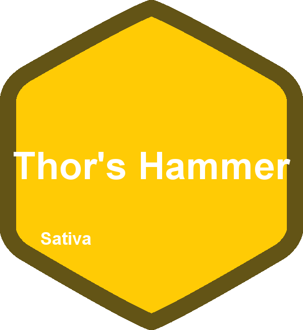 Thor's Hammer - Education (600x654)