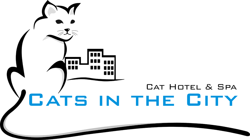 Cat (800x447)