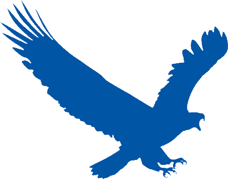 Download Eagleget From Internet - Eagleget 2.0 4.27 (500x385)