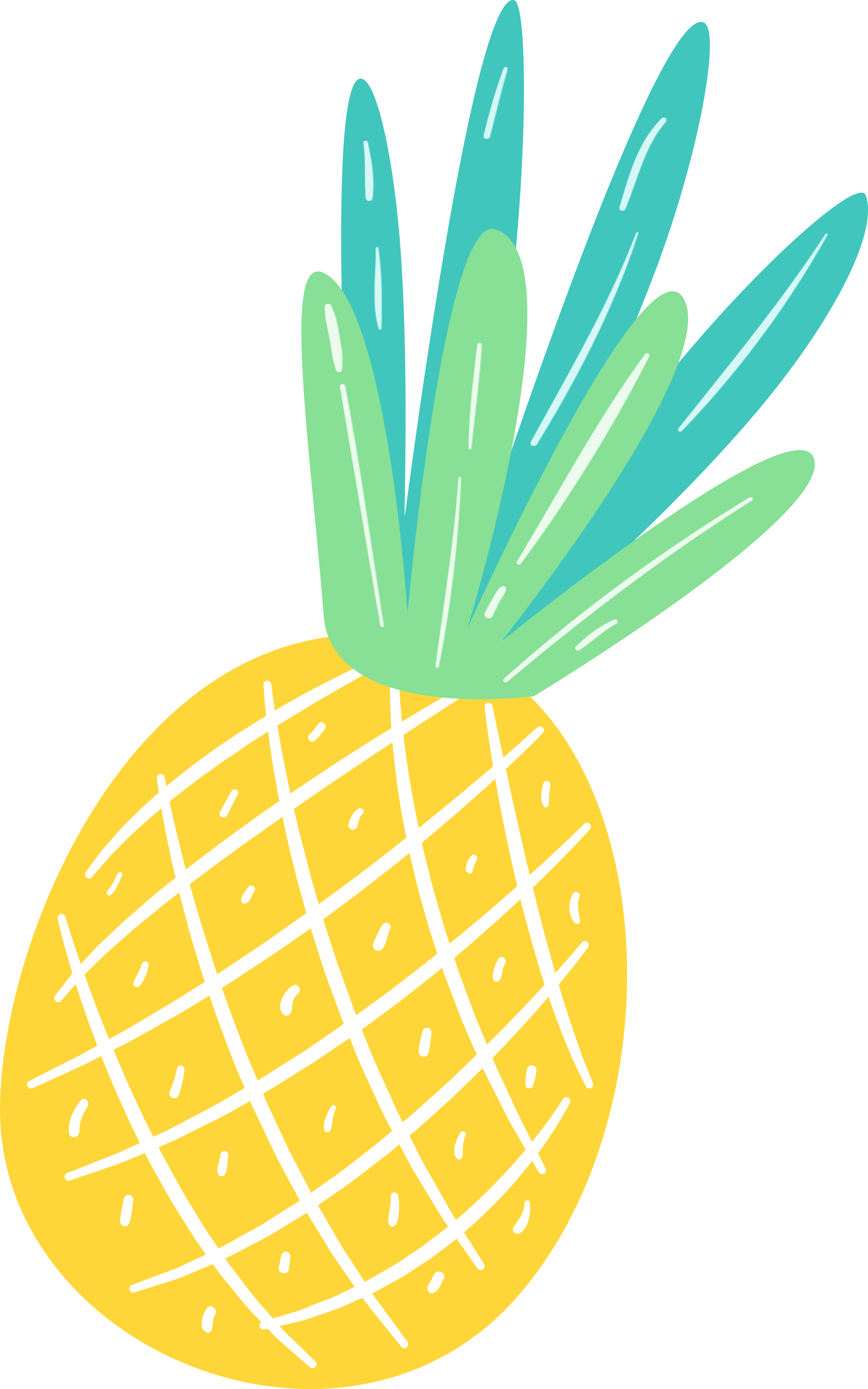 •pineapples - - Clip Art (2208x3532)