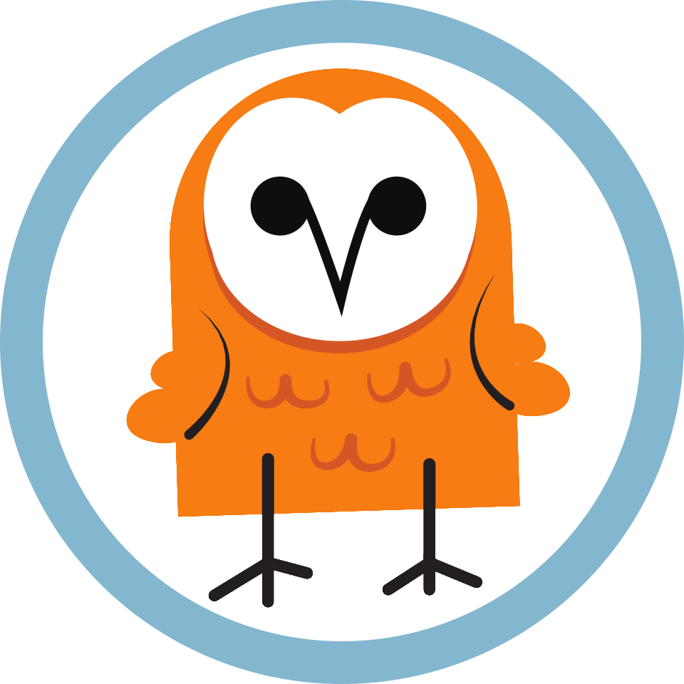 Barnowl - Owl (960x960)