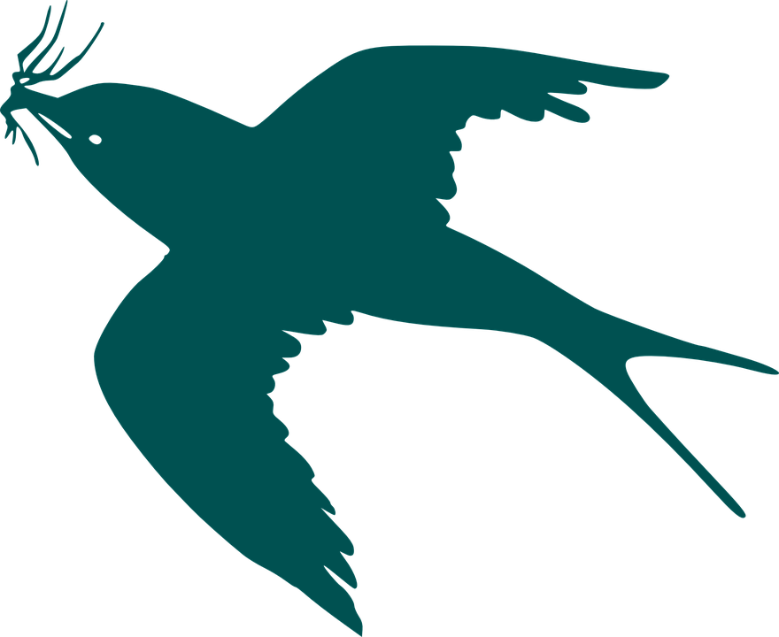 Flying Bird Silhouette (880x720)