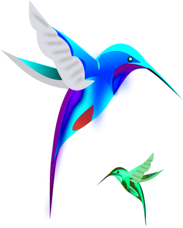 Bird - Birds Clipart (600x747)
