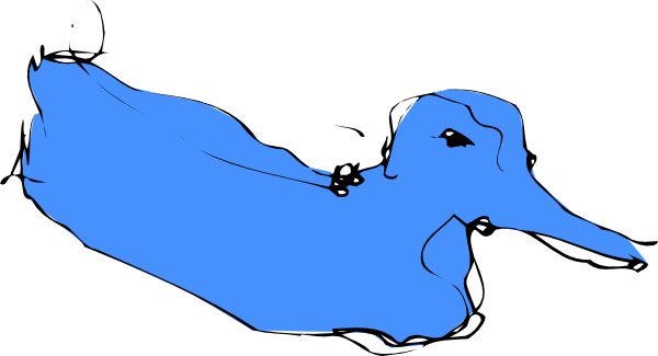 Blue Duck (600x325)