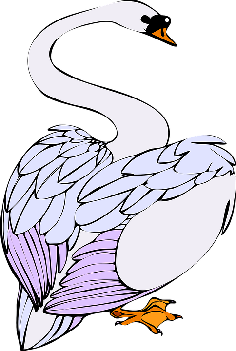 Romantic Swan, Bird, White, Animal, Water, Swim, Noble, - Swans Walking Clipart (484x720)