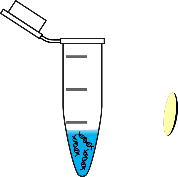 Eppendorf Tube With Dna (600x596)