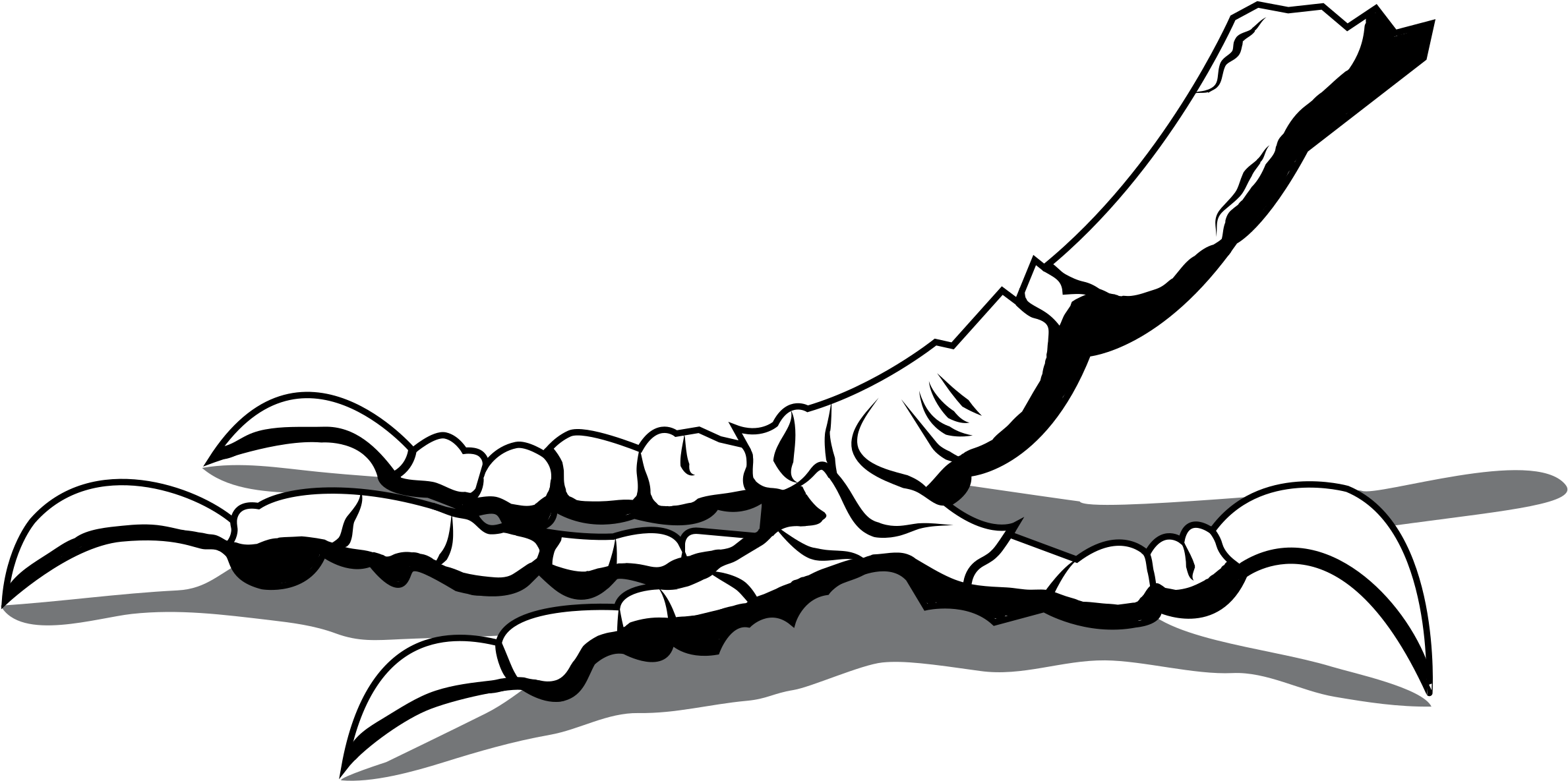 Big Image - Foot (2400x1220)