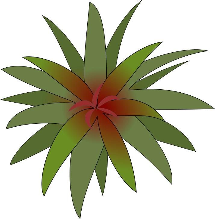 Sun Ray Designs (800x800)