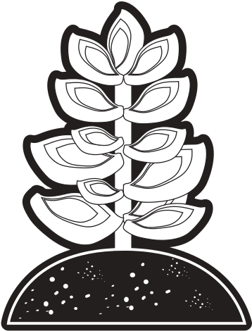 Succulent In Soil Vector Illustration - Soil (550x550)