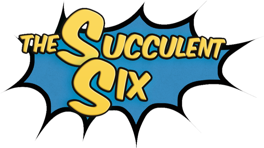 Succulent Six (1198x492)