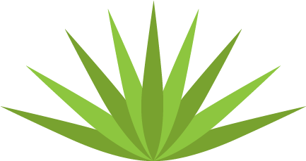Agave Succulent Wall Decal - Agave (660x500)