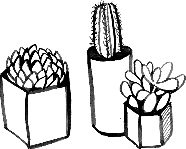 Cactii - Line Art (618x494)