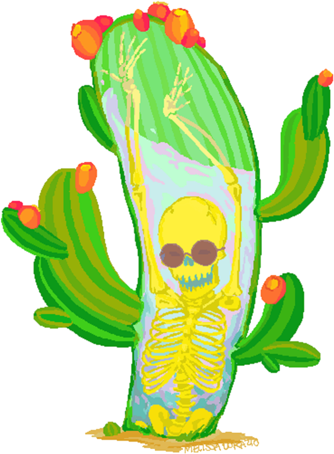 Skellingcactus - Portable Network Graphics (1000x1000)
