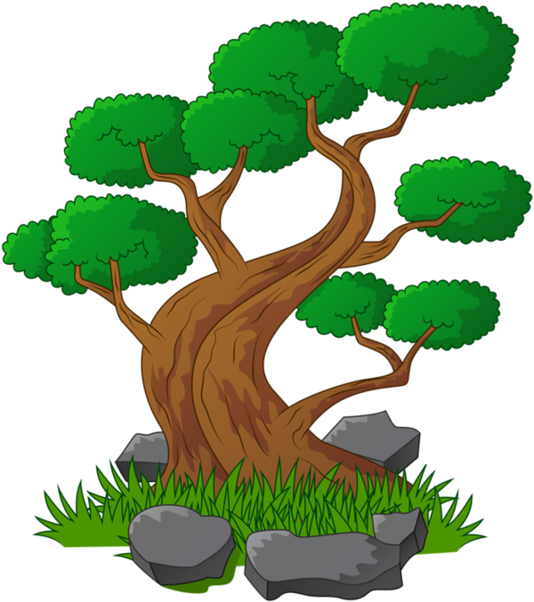 Bonsai (600x677)