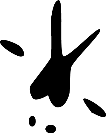 Clip Art (355x447)