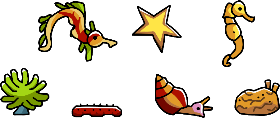 Tide Pool - Scribblenauts Tide Pool (901x381)