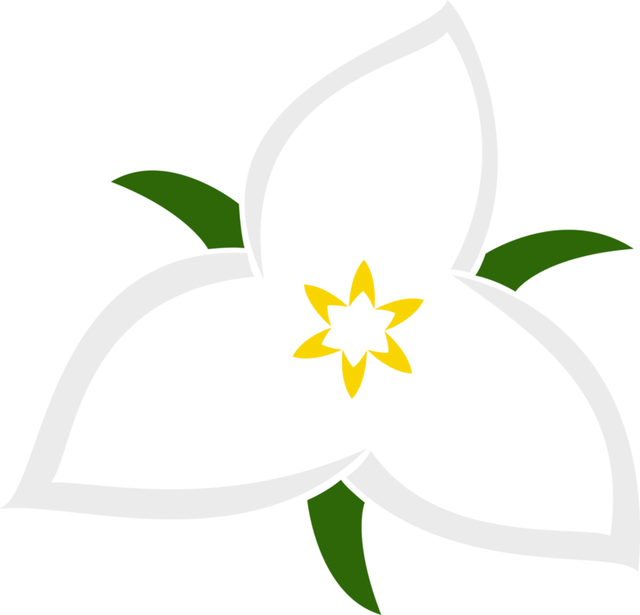 Trillium (912x876)