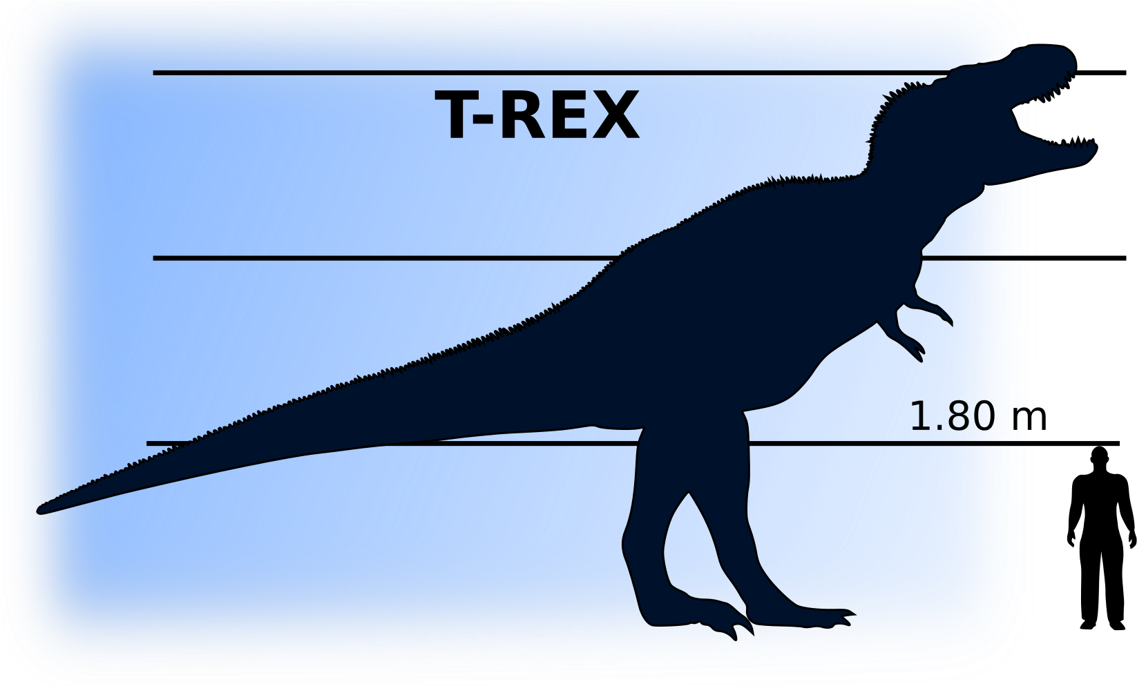 T-rex Vs Man - T Rex Compared To Man (1697x2400)