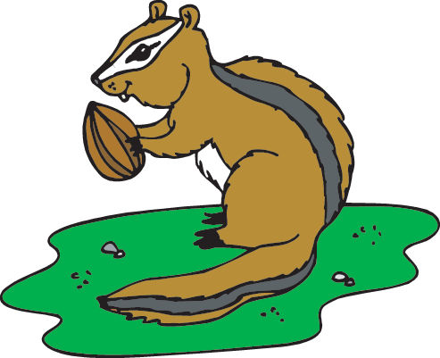 Forest Animals - Chipmunk (493x401)