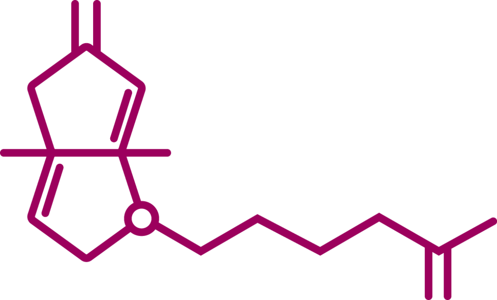Terephthalic Acid (1024x619)