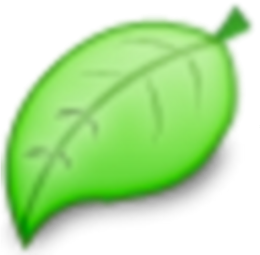 Leaf (512x512)