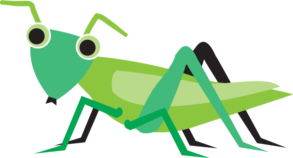 Grasshopper - Grasshopper (1000x538)