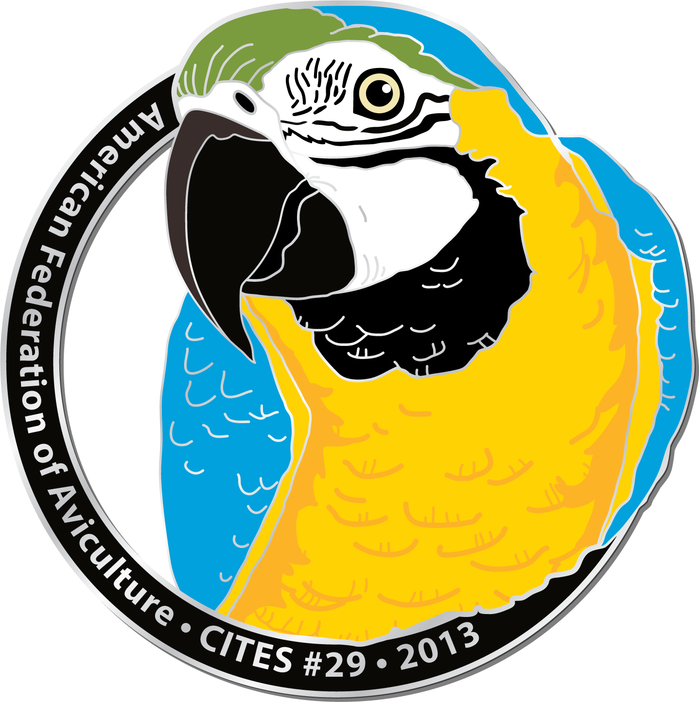 Cites 29 Pin - Thumbnail (1438x1445)