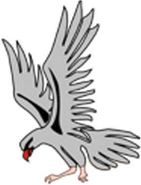 Silver Falcons - Silver Falcon (400x400)