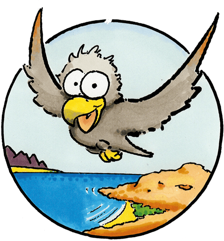 Cartoon (512x512)