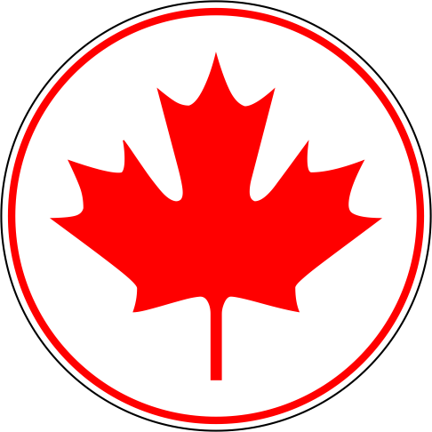 Style 2 - Learn Canadian French [book] (486x486)