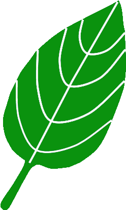 Ambiente - Hojitas Verdes (279x450)