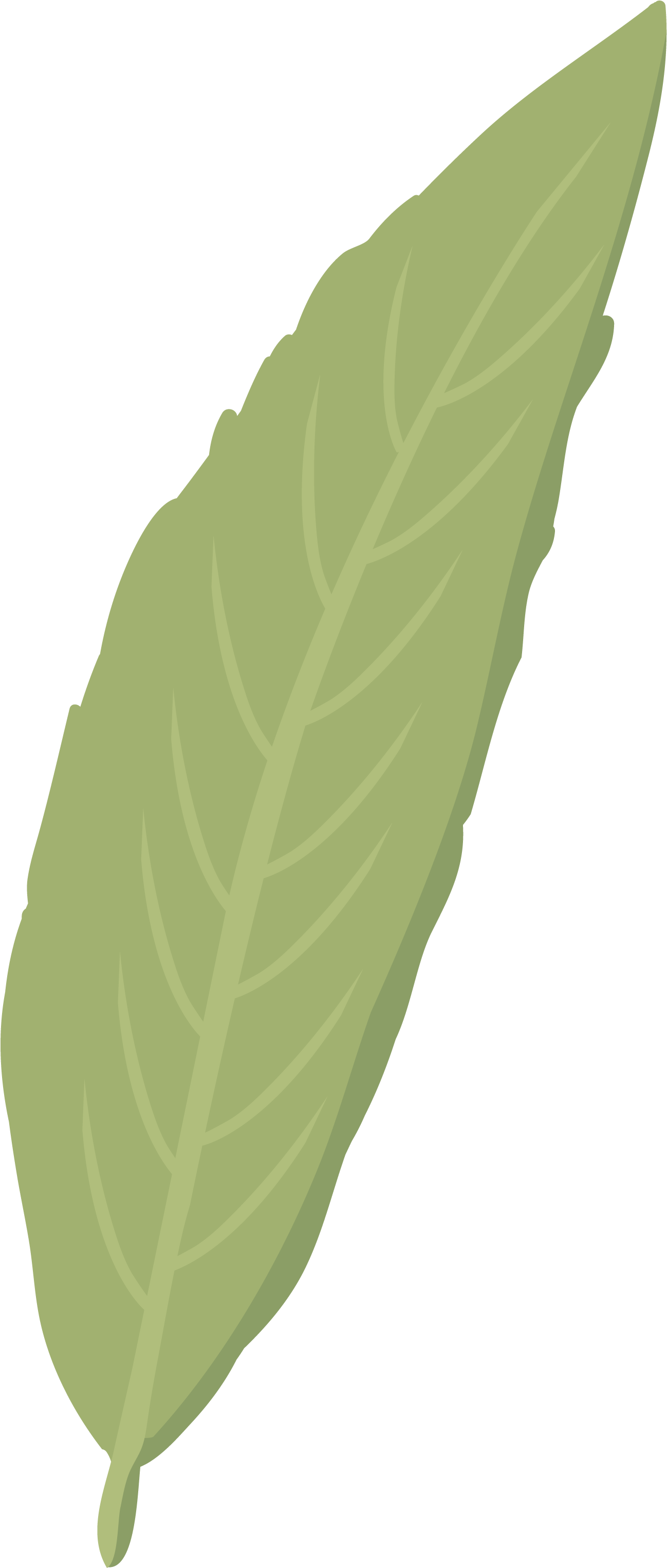 Sauce - Sauce Hoja (2480x3508)
