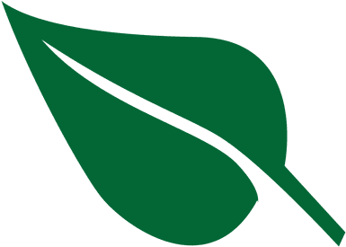 Hoja - Leaf (512x512)