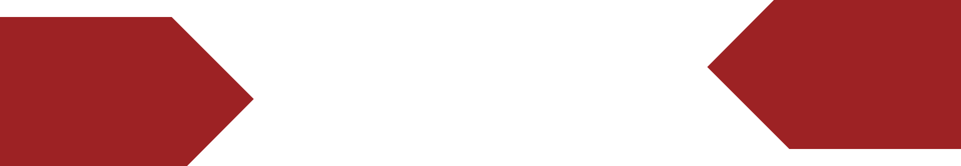 Pattern - Ivory (1920x332)