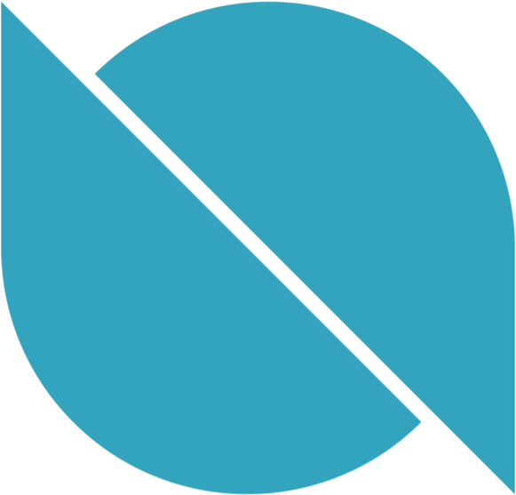 Ontology Logo - Cryptocurrency (616x582)