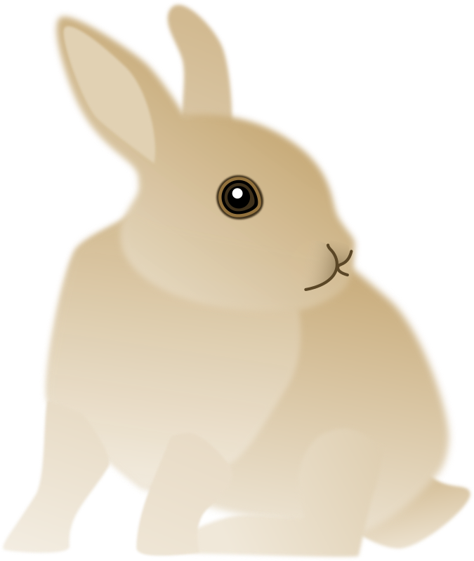 Medium Image - Domestic Rabbit (675x800)