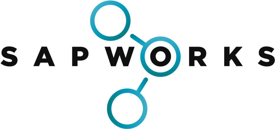 Sapworks - Sapworks (1000x632)