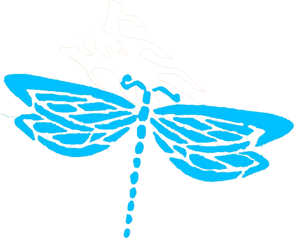 Dragonfly-20 - Dragonfly-20 (1000x998)