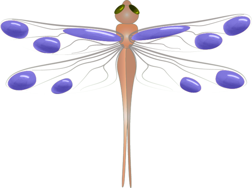 Dragonfly Transforming - Damselfly (500x374)