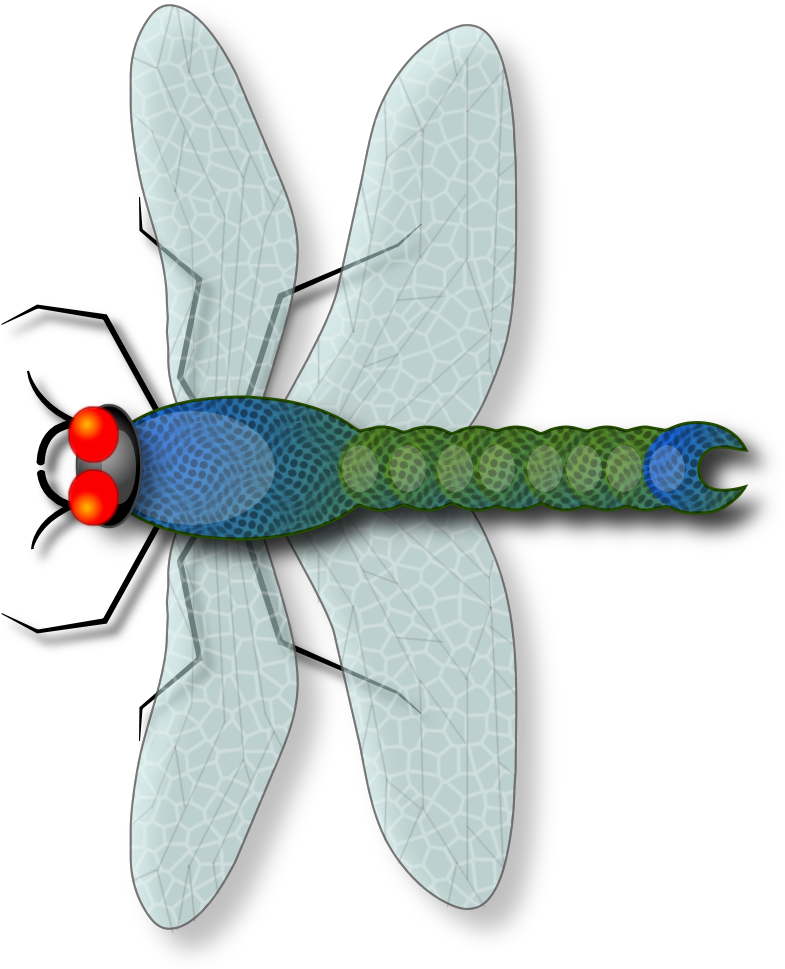 Click Image To Enlarge - Damselfly (1000x1000)