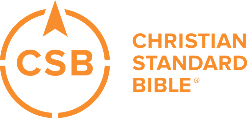 U - S - Edition - Csb Essential Teen Study Bible, Personal Size, Gray (800x383)
