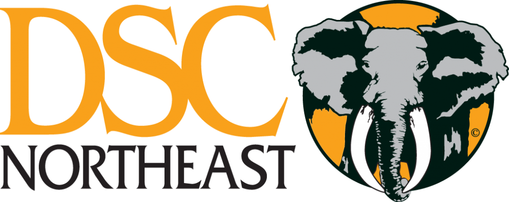 Dsc Northeast - Graphic Design (1024x406)