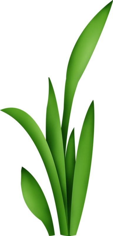 Clip Art (384x800)