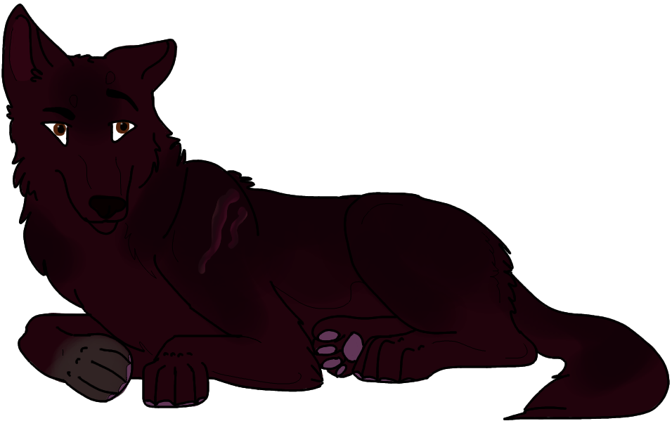 Image - Companion Dog (956x599)