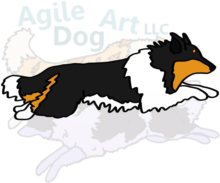 Picture - Rough Collie (800x800)