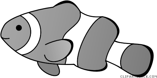 Clownfish Animal Free Black White Clipart Images Clipartblack - Clown Fish Drawing (555x279)