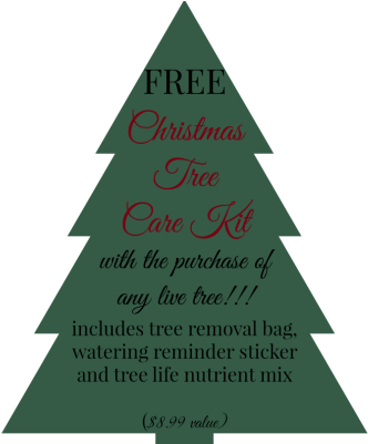 Share This Entry - Christmas Gift (495x400)