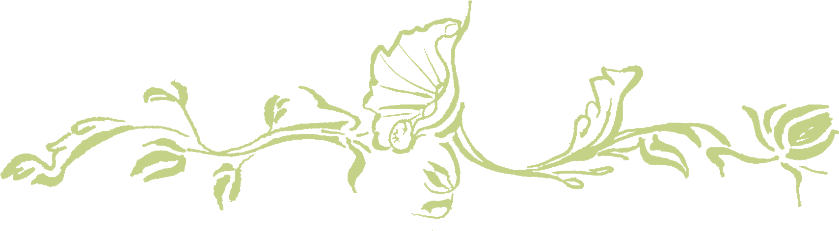 Sketch Vines Png (1830x576)